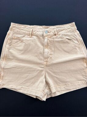 American Eagle Outfitters Tan Cargo Shorts